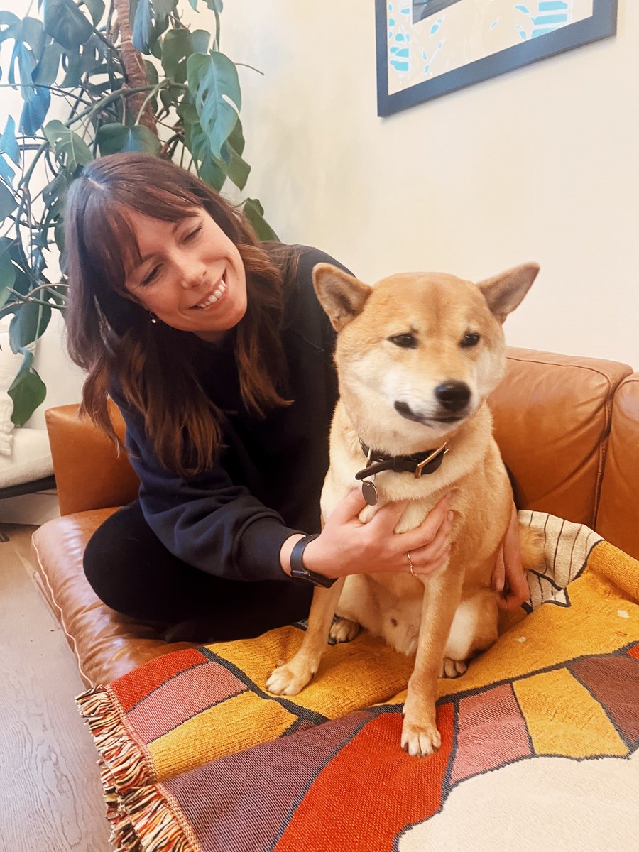 Amy_Hupe's tweet photo. File under: I will force your pet to love me @annastudman https://t.co/6yRu1TxUuK