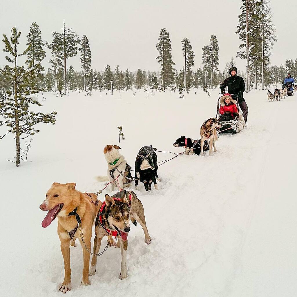 ICYMI <a href="/wendysrealtor/">Wendy Santantonio</a> and I are sharing details of our #Scandinavian and #Nordic vacation in stories. While there we 
•
1. 🇸🇪Picked up our new #Volvo in Sweden
2. 🇸🇪Explored #göteborg 
3. 🇫🇮Went to the #ArcticCircle
4. 🇫🇮Became #dogsledding pilots
5. … instagr.am/p/CnuYSuyrhNB/