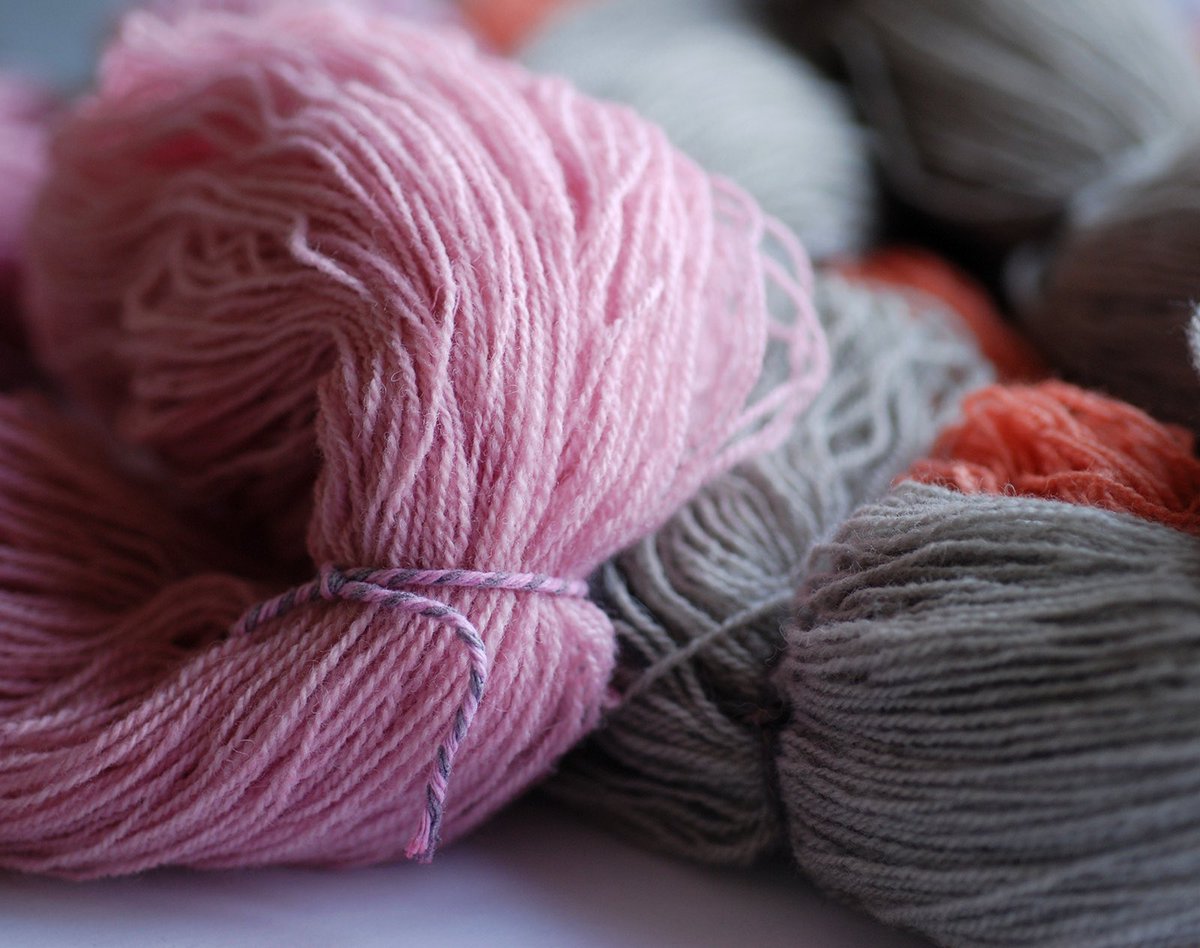 Gentle results on the softest lambswool. Cochineal at the front, grey from alder cones + iron, and coral red from madder. A gift for a friend not on twitter.