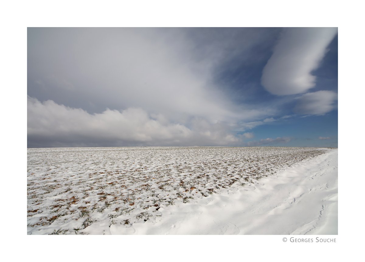 Georges Souche Photographe tweet media