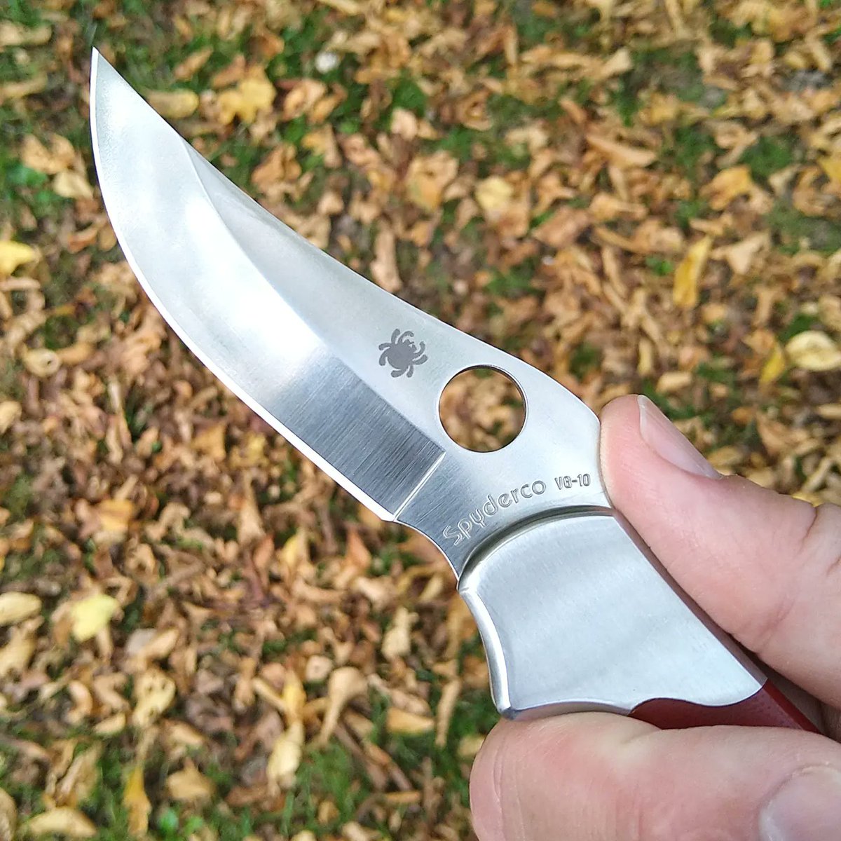 spydercollector's tweet photo. A few more shots of the incomparable #spyderco #edschempp #sprintrun #persian. https://t.co/EuSk4OyWyP