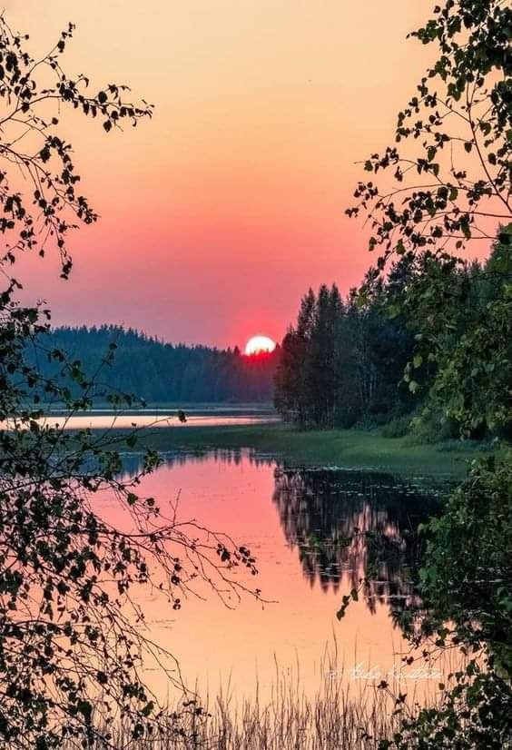 Hayat dediğin;
Biraz mücadeledir,
Biraz sabır
Ve fakat daha çok sevgi...
Tomurcuk olmadan
Açan çiçek var mıdır? 
🌅HAYIRLI AKŞAMLAR