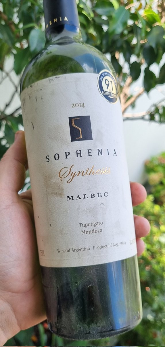 Francisco Rivero Segura tweet media