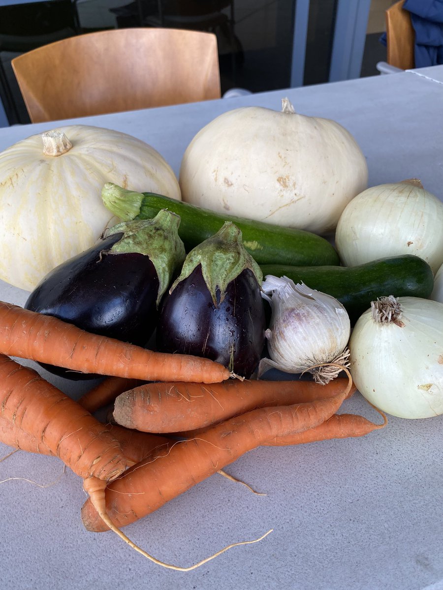 UofArizonaPhxFamilyMed tweet media