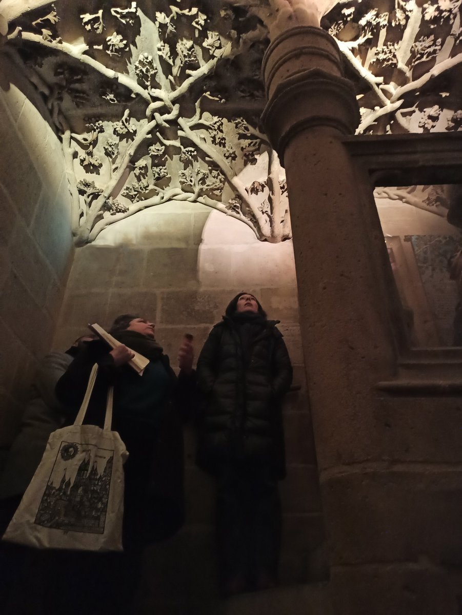 TourJSP's tweet photo. Grand succès pour la 1ere participation de la @TourJSP aux #NuitsDeLaLecture ces 20 et 21 janvier sur le thème de la Peur = des visites guidées nocturnes entrecoupées de lectures sur les #revenants au #MoyenAge !👻👻👻 https://t.co/tKuzQperoe