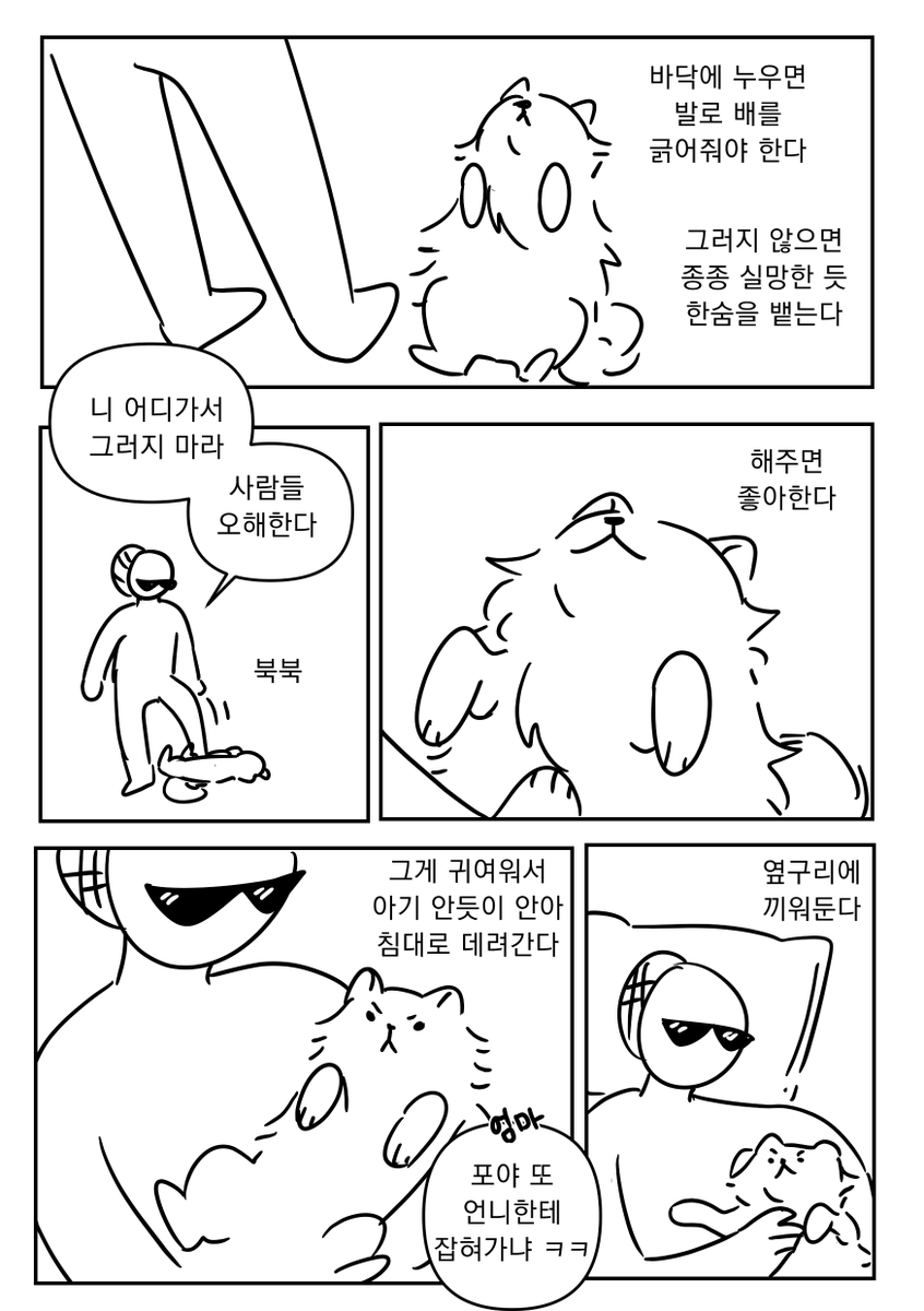 Kim_Gilgyu's tweet photo. 강아지 포야 https://t.co/JSOxOG97Ti