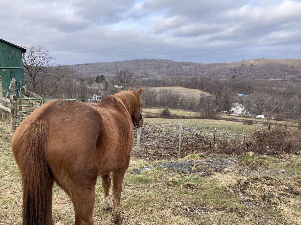 #barnlife #thinkspring