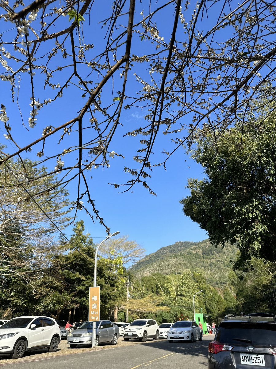 初一陪家人走春
晚上回來直接睡到初二
真的 睡睡平安…… https://t.co/reW3KC4voC