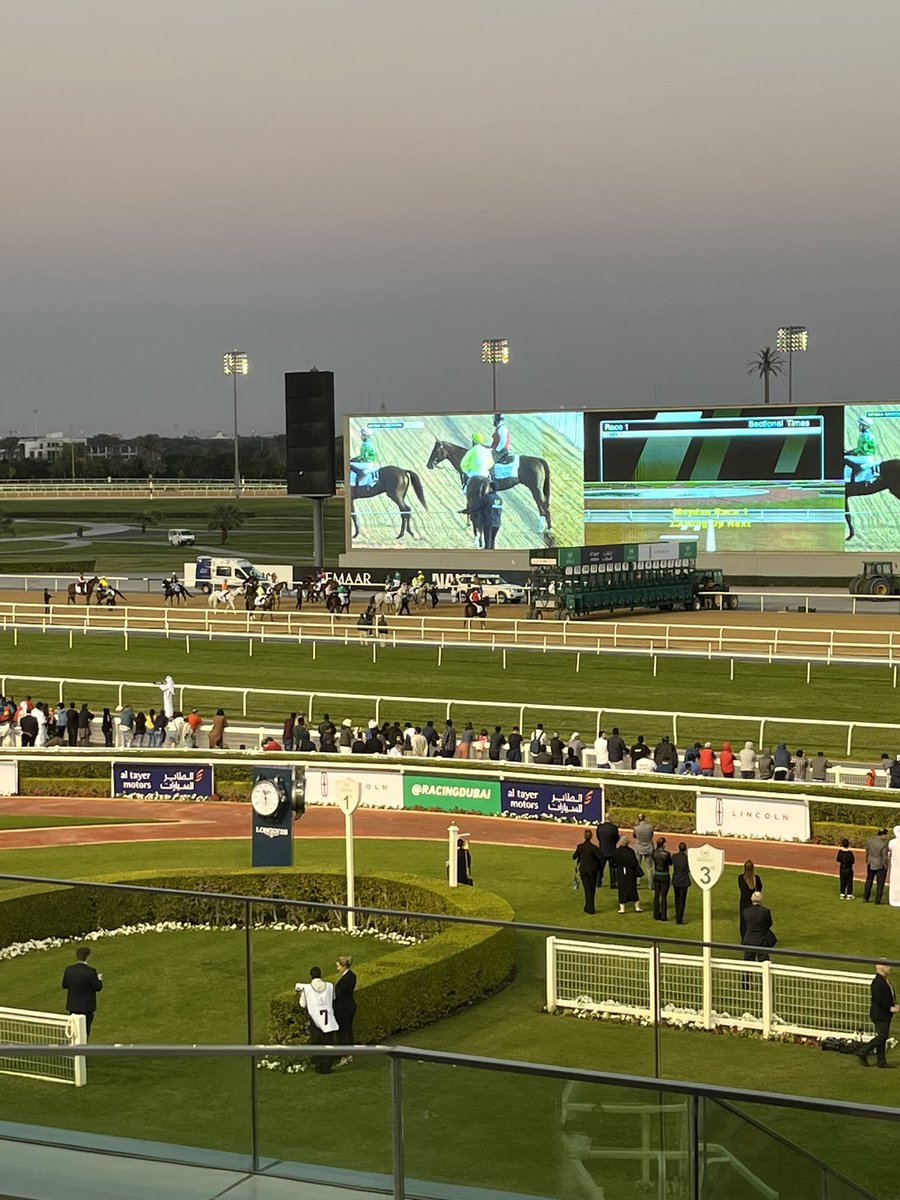 TMF_Marketing's tweet photo. TMF event at @RacingDubai #Meydan for an evenings racing….Splendid entertainment! #Dubai #RacingDubai #TMFMarketing https://t.co/9rlccAFPbu