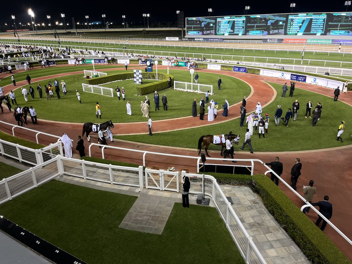 TMF_Marketing's tweet photo. TMF event at @RacingDubai #Meydan for an evenings racing….Splendid entertainment! #Dubai #RacingDubai #TMFMarketing https://t.co/9rlccAFPbu