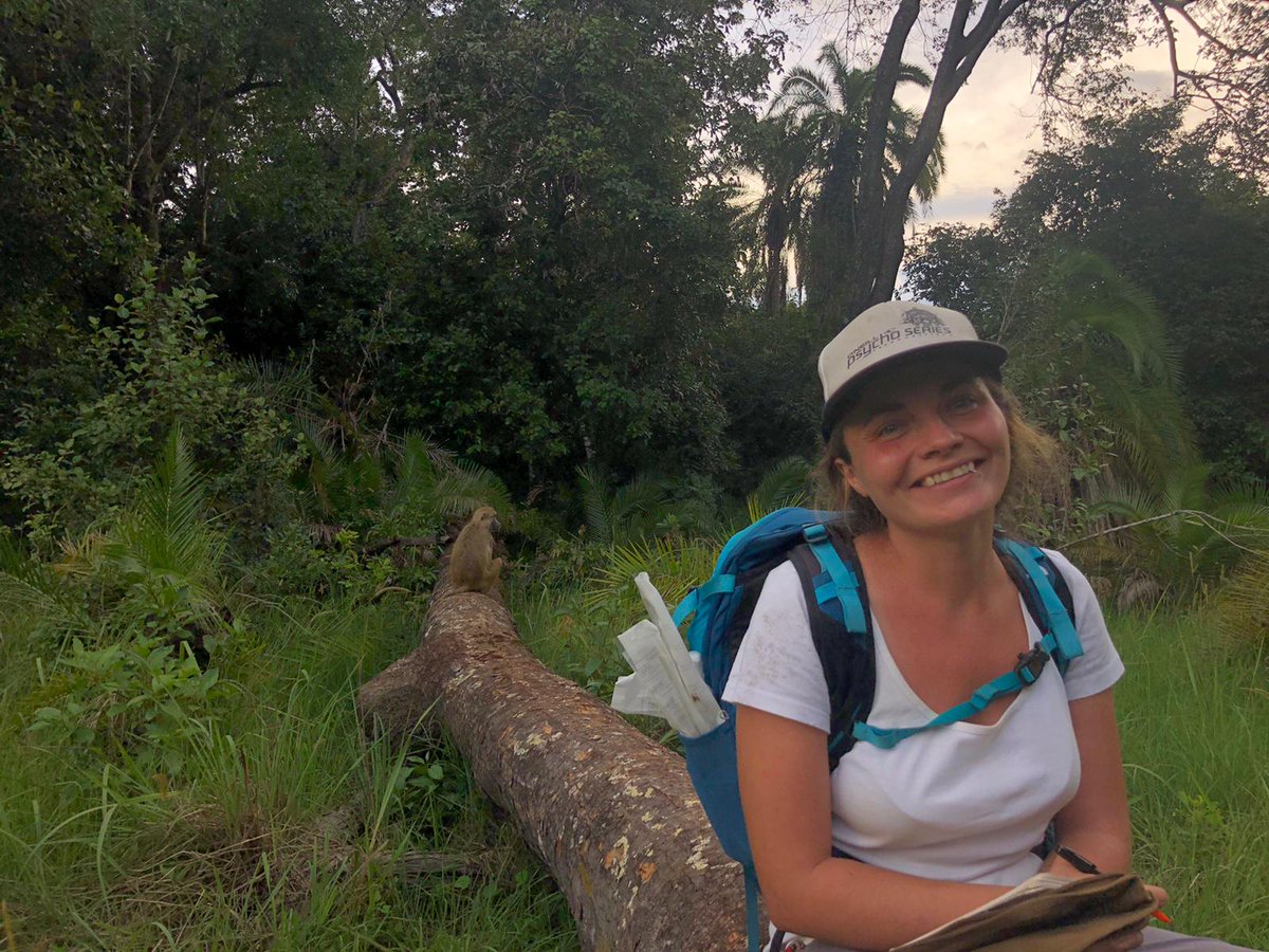 MandyMonkey02's tweet image. Hanging out with Ramone a couple weeks ago while he was being such a ham tryna nap on this fallen tree! 😍 
#fieldwork #dissertationdata #Kinda #baboons #Zambia
📸 By Ruby
@kindacamp @thekasankatrust