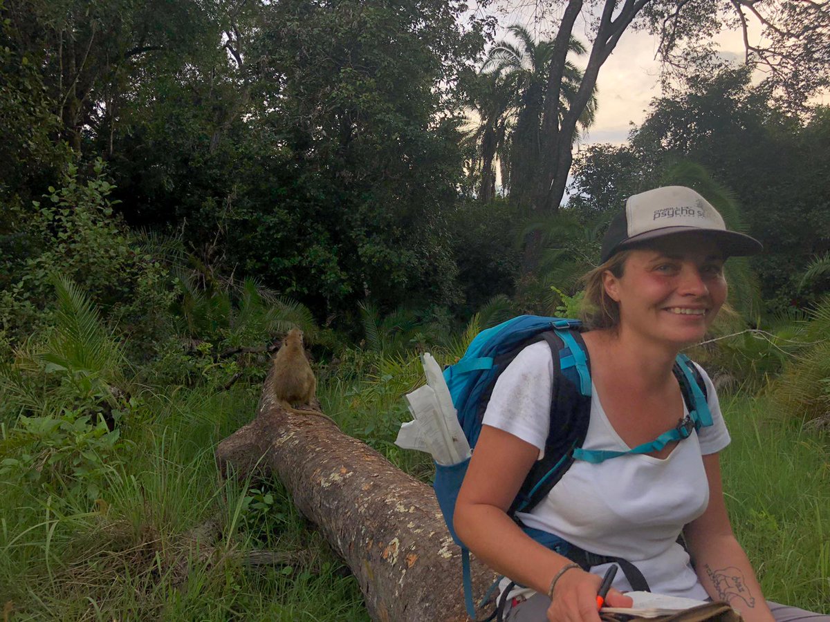 MandyMonkey02's tweet image. Hanging out with Ramone a couple weeks ago while he was being such a ham tryna nap on this fallen tree! 😍 
#fieldwork #dissertationdata #Kinda #baboons #Zambia
📸 By Ruby
@kindacamp @thekasankatrust