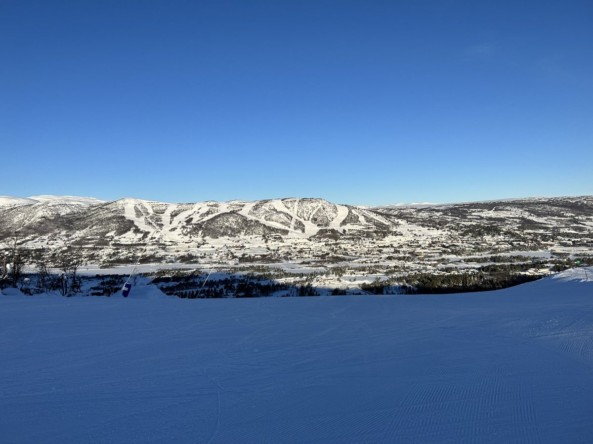 Nordic MS Conference 2023 tweet media