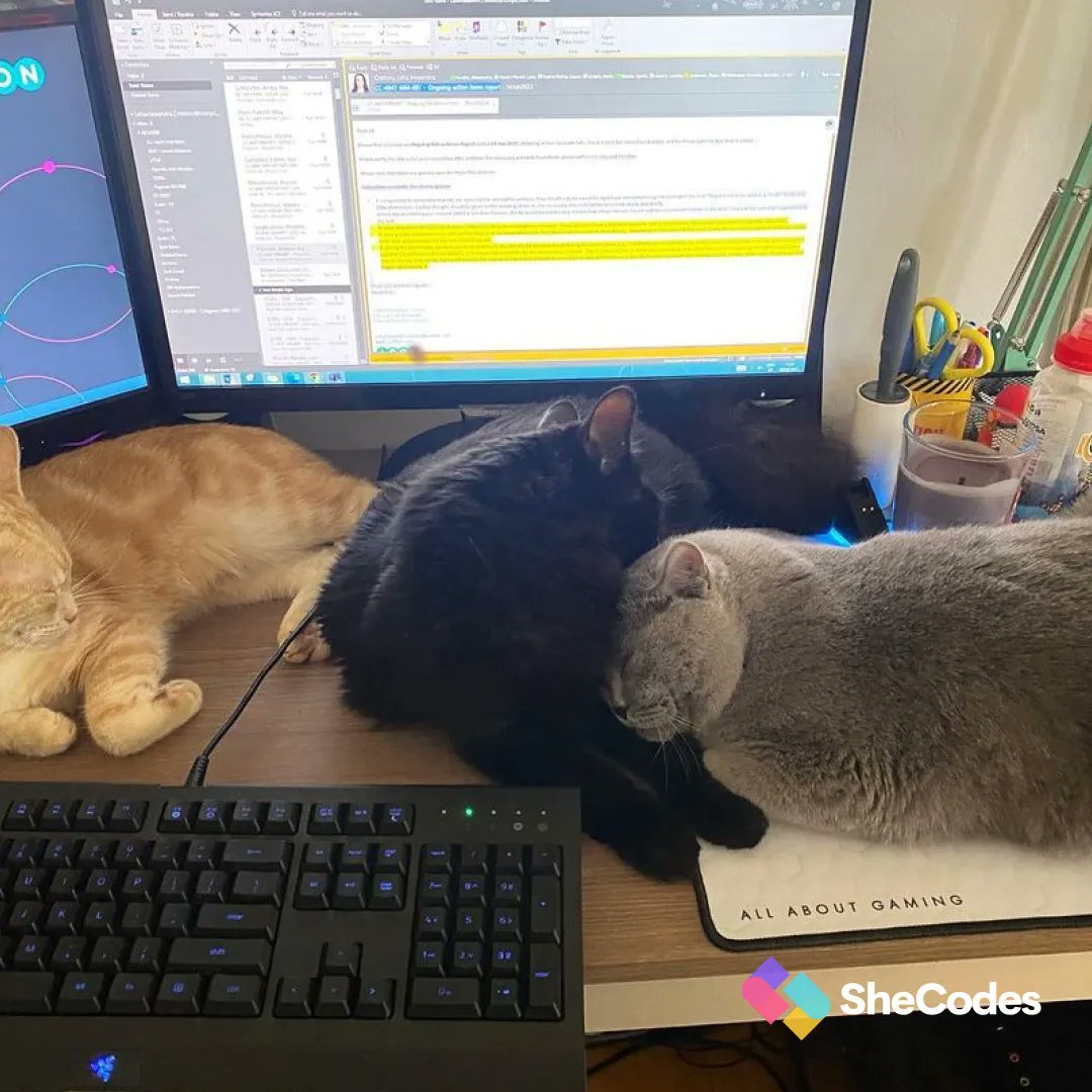 nippicat's tweet photo. How many cats does it take to complete a coding setup? Bobby &amp; Gusfy &amp; Miggy are getting some well-earned rest after a long day! 
Submit your own cat picture at  or tag us on Instagram using #catcodes to get featured! https://t.co/atSLoE0NiN
