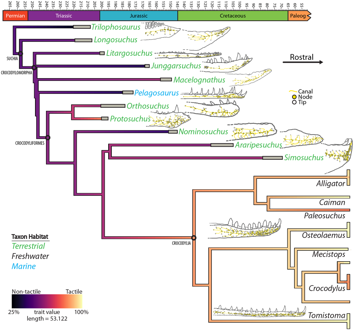 Gabriel N. U. on Twitter "RT CrocHolliday Congrats to Emily Lessner