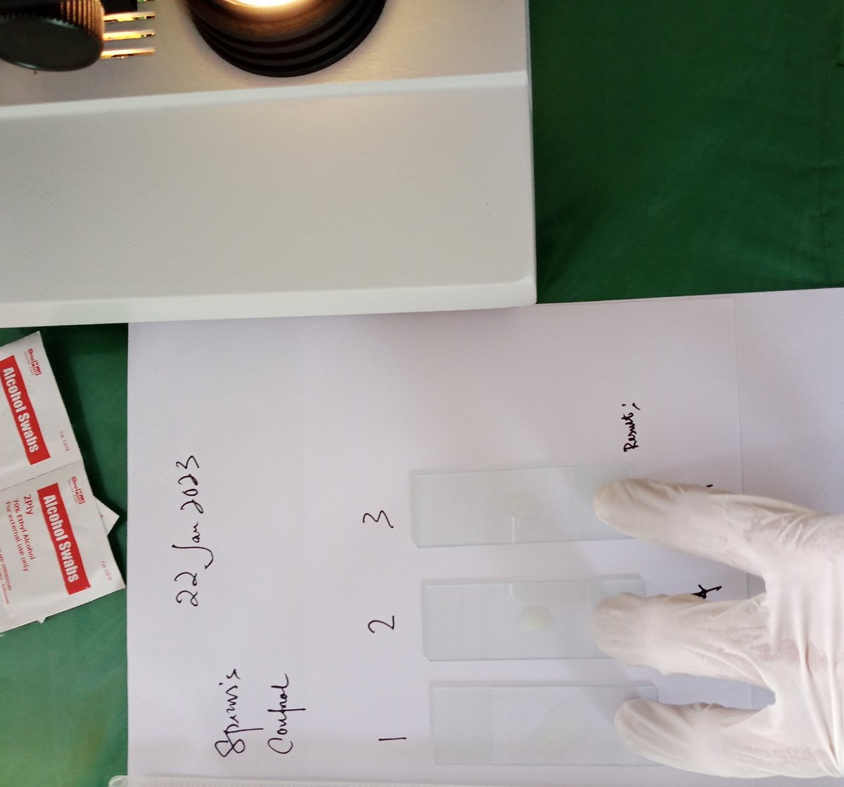 MarineCulture's tweet image. 22 JAN 2023
#ICSGRTC 

Memijah &amp;amp; mengamati peforma sperma ikan Kerapu Kertang dibawah Mikroskop (Mikroskopik)., Sebelum melakukan perkawinan silang ikan kerapu hibrida (Epinephelus sp).

Leader: @NgPgmd