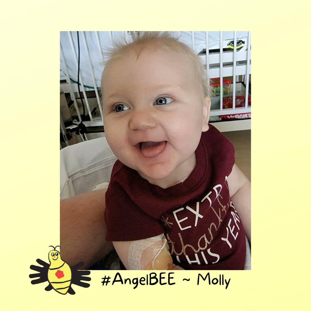 BumbleBeefound's tweet photo. Sending extra love and prayers to our #AngelBEE Molly's family on her Heavenly #BEEday today. Her smile and giggle were infectious and she was so adored as a little sister. Celebrating the warrior you were even in your short life, sweet girl.
#infantleukemia ๐งก
#Forever1 https://t.co/ZOBzVdGBeY