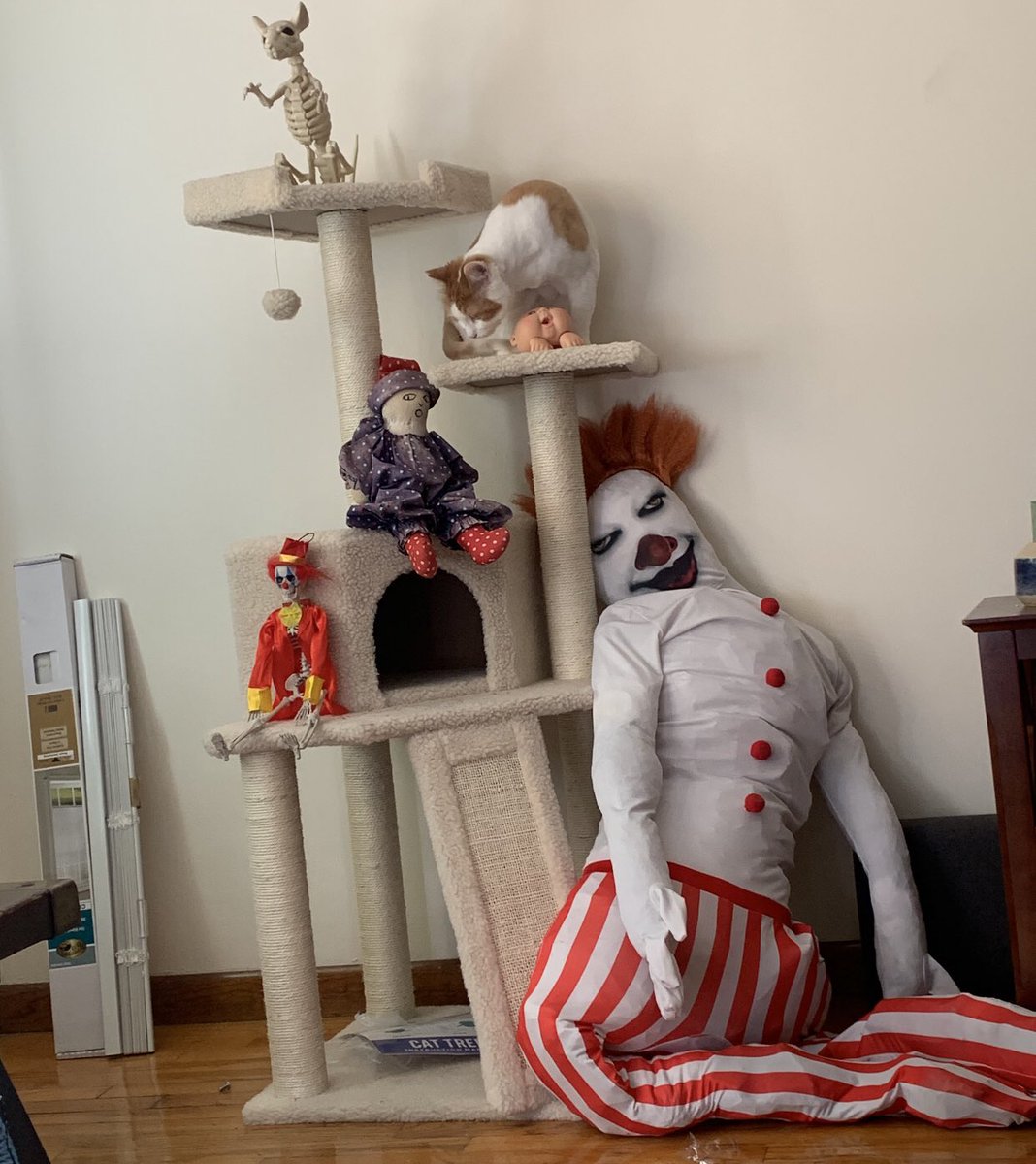 When I was a freshman in college my friend and I bought a pennywise bodysuit from Walmart while having a joint manic episode, stuffed him full of trash, and created a 6 ft tall clown named Nickelsnart who just sat in the corner of our apartment