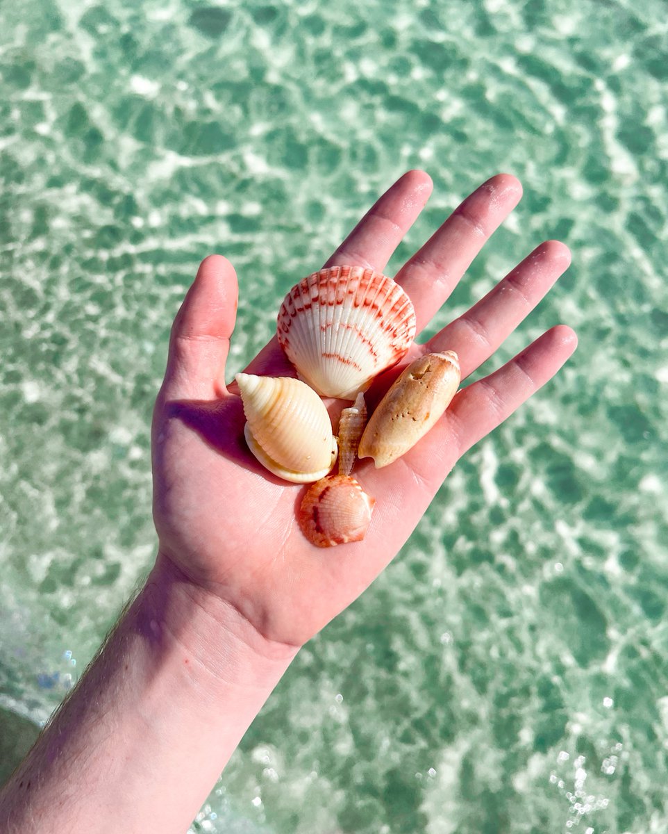 Pensacola Florida tweet media