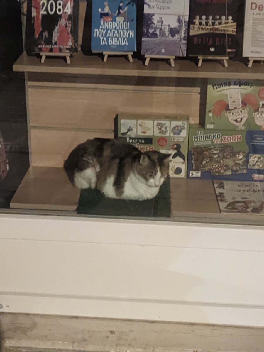 cool_myll's tweet photo. Best bookstore front https://t.co/77Oh6IFpWO