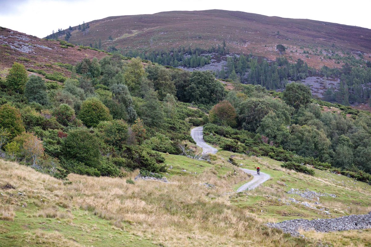 reizkultur's tweet photo. Really looking forward to be back in 🏴󠁧󠁢󠁳󠁣󠁴󠁿 tomorrow for the launch of my new film &amp; a new #bikepacking route in the Cairngorms National Park. 

Here’s a teaser on Youtube https://t.co/OZDvRIQ7wA You can join us for a Q&amp;A at 8.15pm here with @StuartKenny https://t.co/vmo4T1DhLB https://t.co/R7N2XOEguv