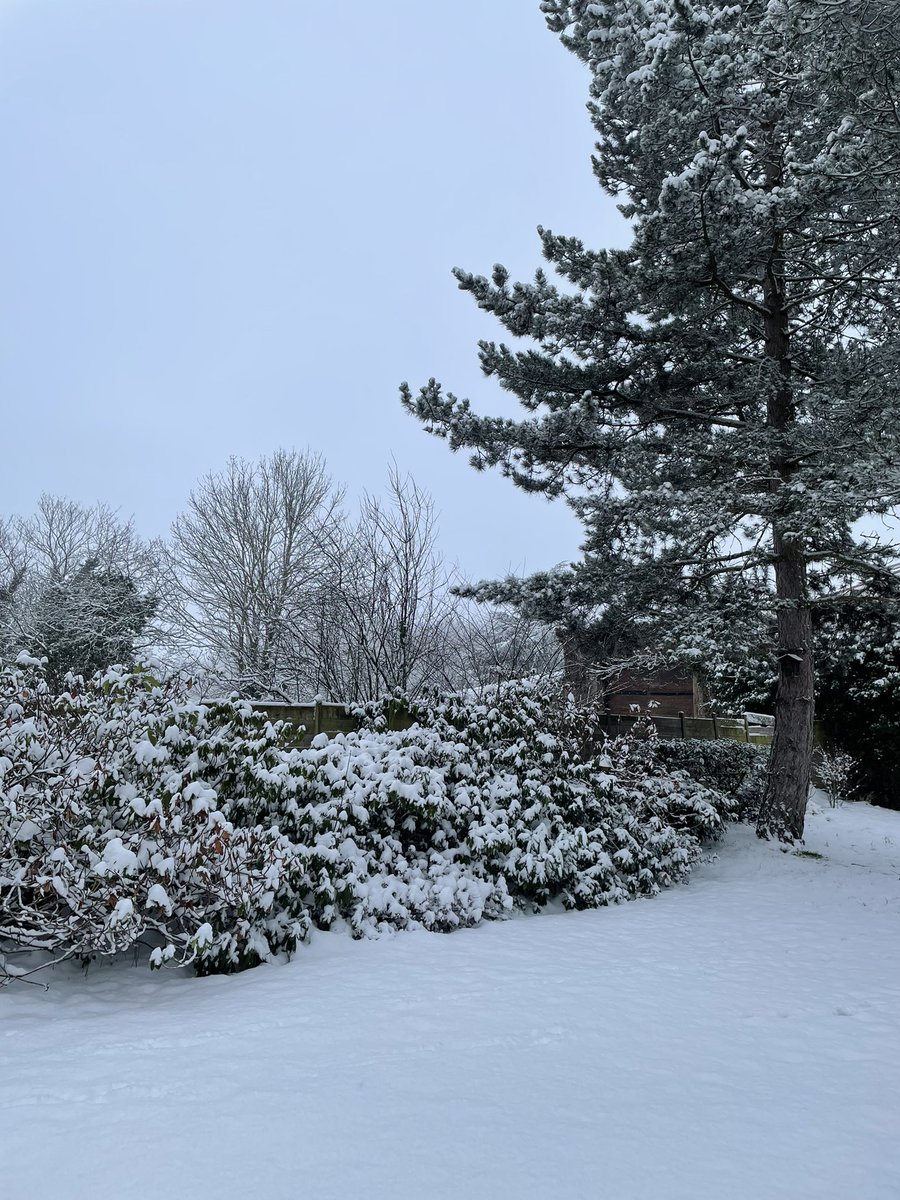 Eric Gex-Collet tweet media