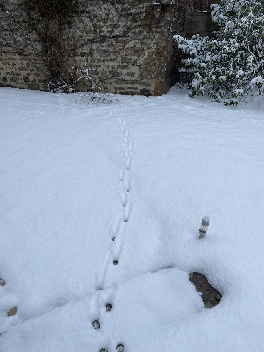 Eric Gex-Collet tweet media