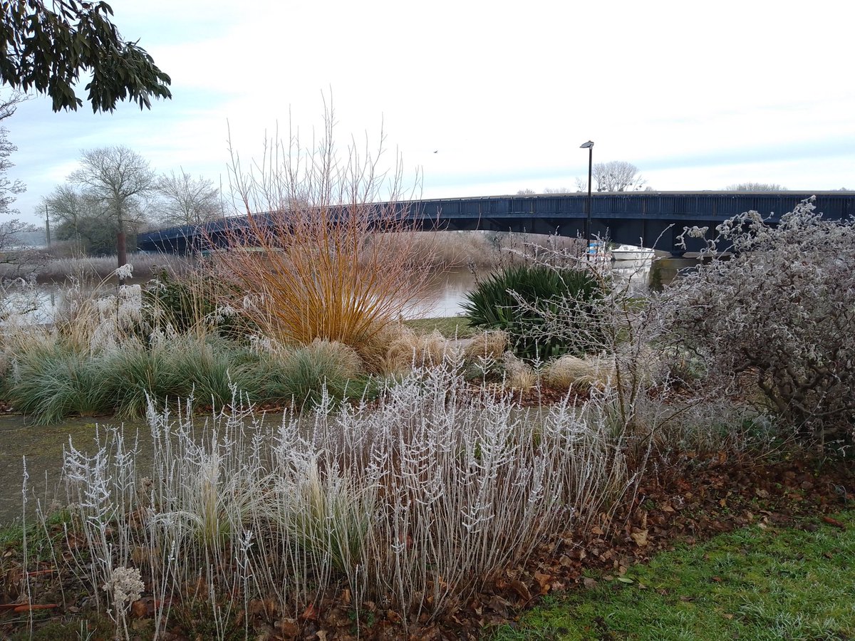 Frosty on the riverside.  #ourbloom