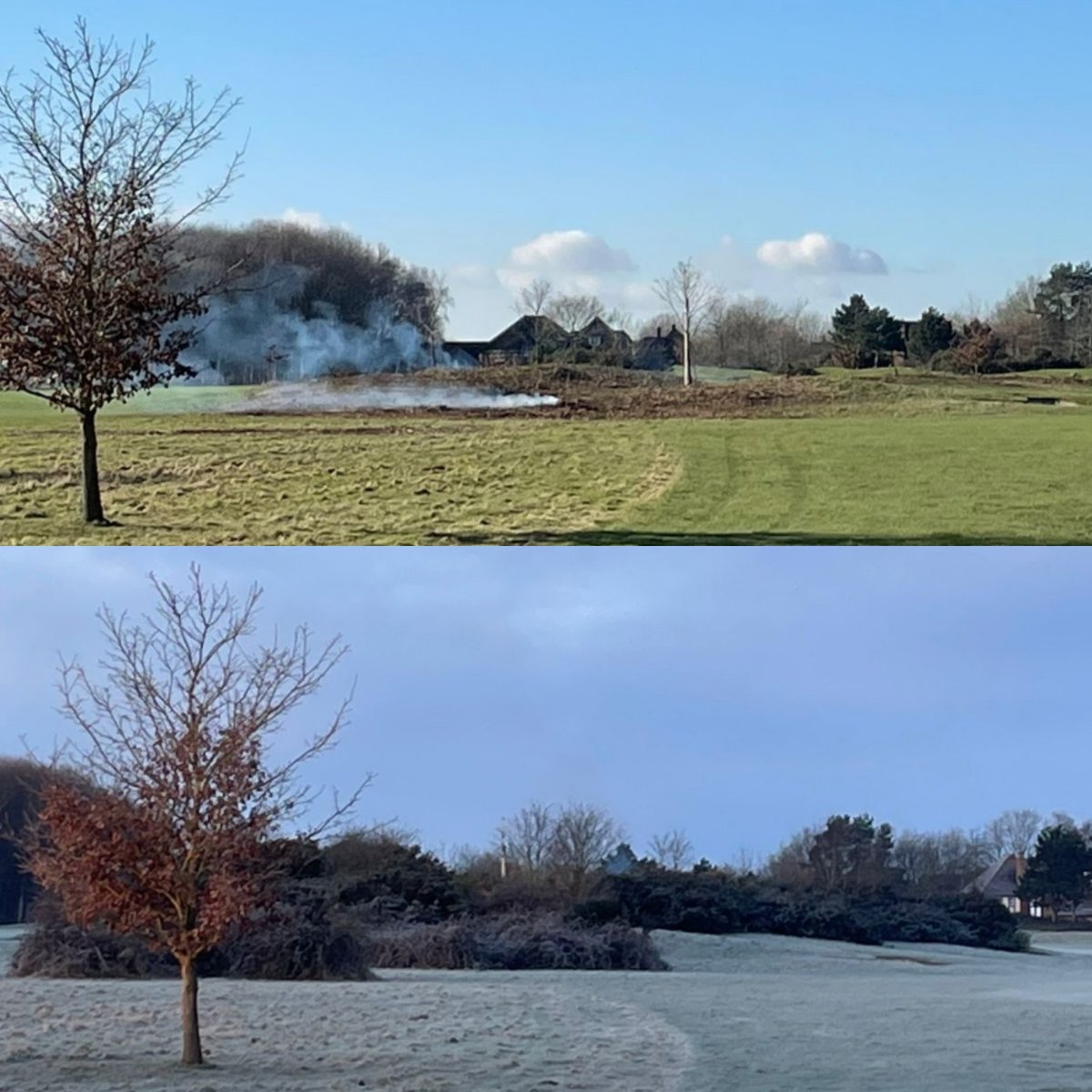 HarryKHGC's tweet photo. Gorse clearance last week, many areas to get back under control 🌳 https://t.co/0EfFTnNTxl