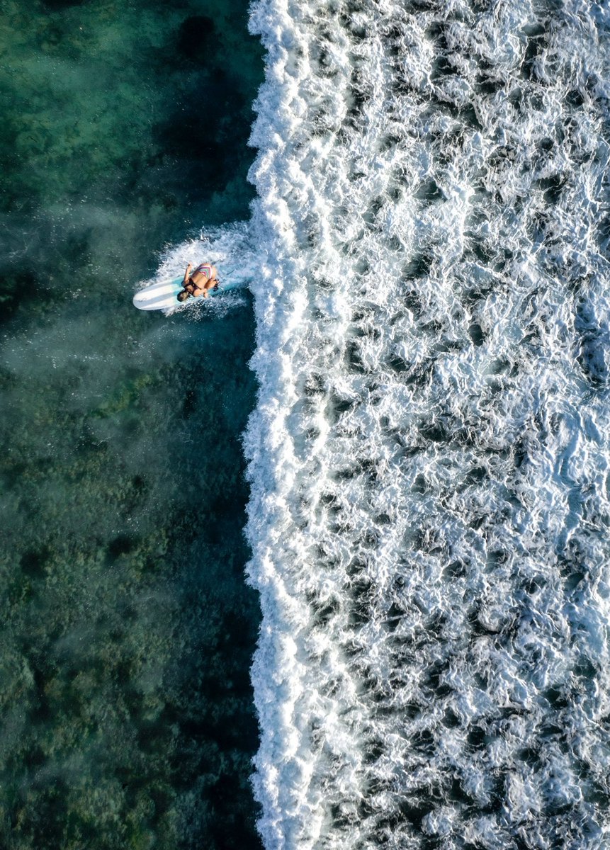 The Artist . . . The Art