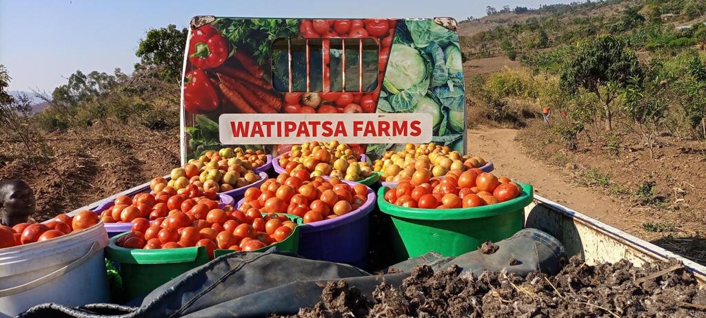 Bule1185's tweet photo. My workers have done it again. Every time we get a bumper harvest at our farm, I take the workers for lunch at Cross Roads. Ever since we started that we have been having bumper harvests. https://t.co/pO76DIRPix