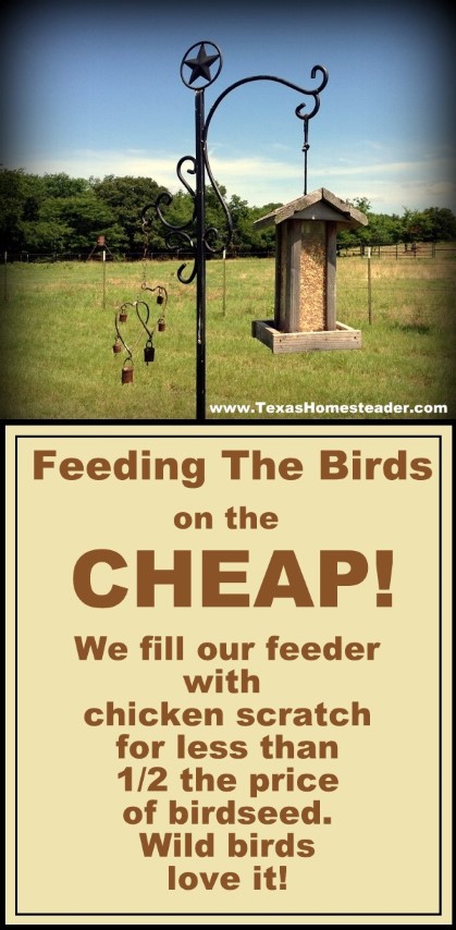 Tx_Homesteader's tweet photo. We love feeding the beautiful wild birds in our yard. They can really go through a lot of feed! But there's a much cheaper way to fill the feeder, check out the Homestead Hack. https://t.co/MHsPyDoSl3 
.
.
#TexasHomesteader #HomesteadHack #FeedingBirds #WildBirds #SaveMoney https://t.co/dLhTw3yRkl