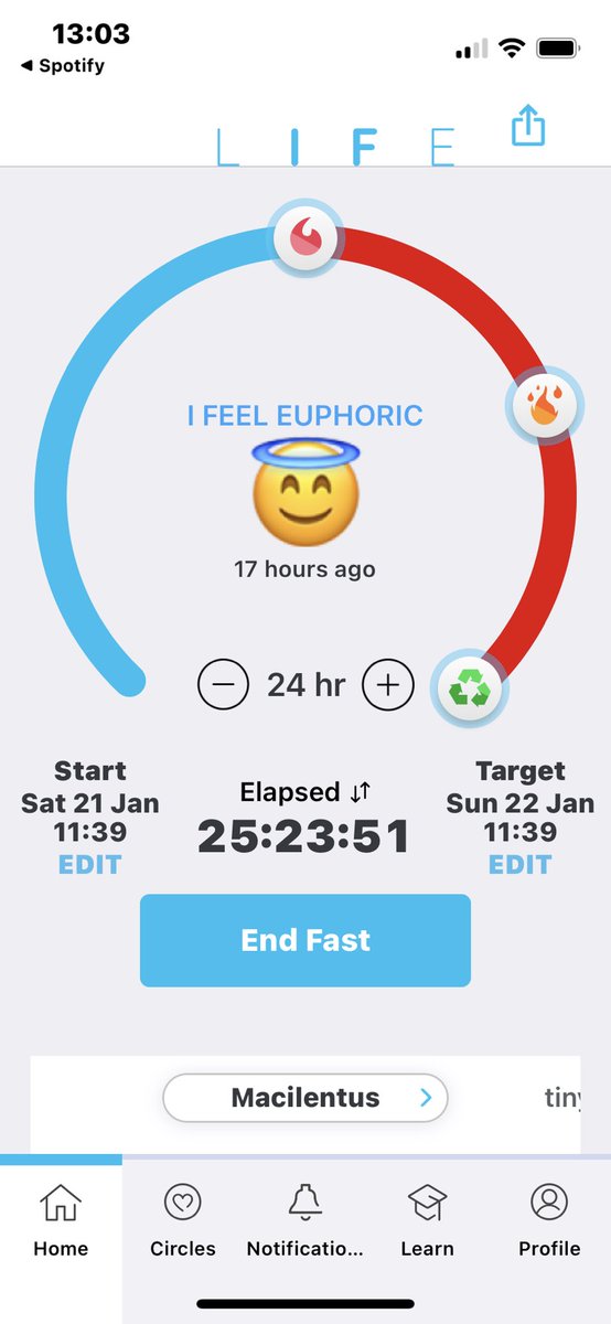 foxxkcal's tweet photo. Did my first successful fast and I feel so happy https://t.co/tYctjyV6Fd