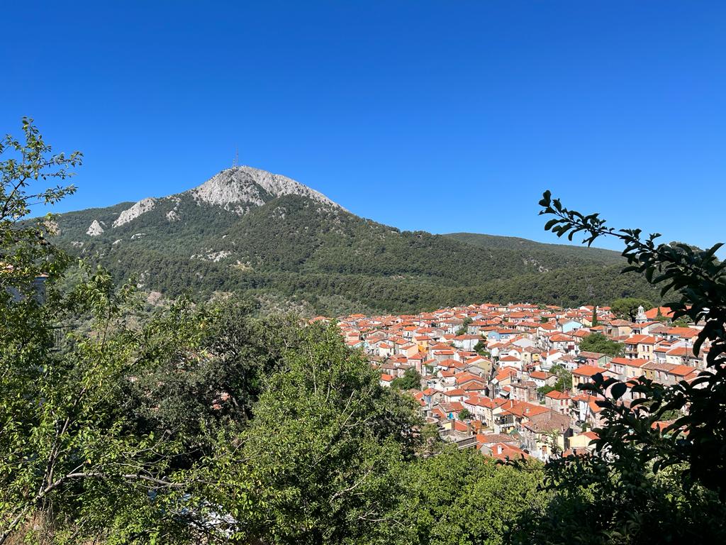 Summer research opportunity for undergraduate students to study #bees in #Greece. We work on #Lesvos, the island that inspired #Aristotle to write the first major book on #zoology. It is also the birthplace of #Theophrastus, the first #botanist. #UCOCMS uco.edu/cms/reu/