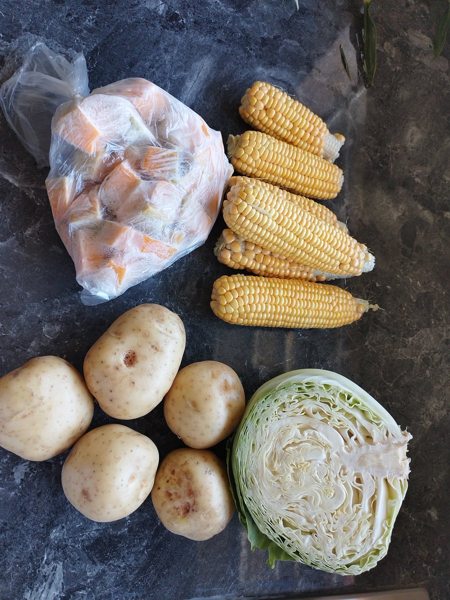 GirlMpuse's tweet photo. To tell the truth, fresh vegetables from the soil straight to the pot hits harder than the ones from the grocery stores. 🤞🏿🤞🏿🤞🏿I only bought baby hake then the rest got them from my vegetable garden.
#FarmLife #InMyOffice https://t.co/TF034391Im