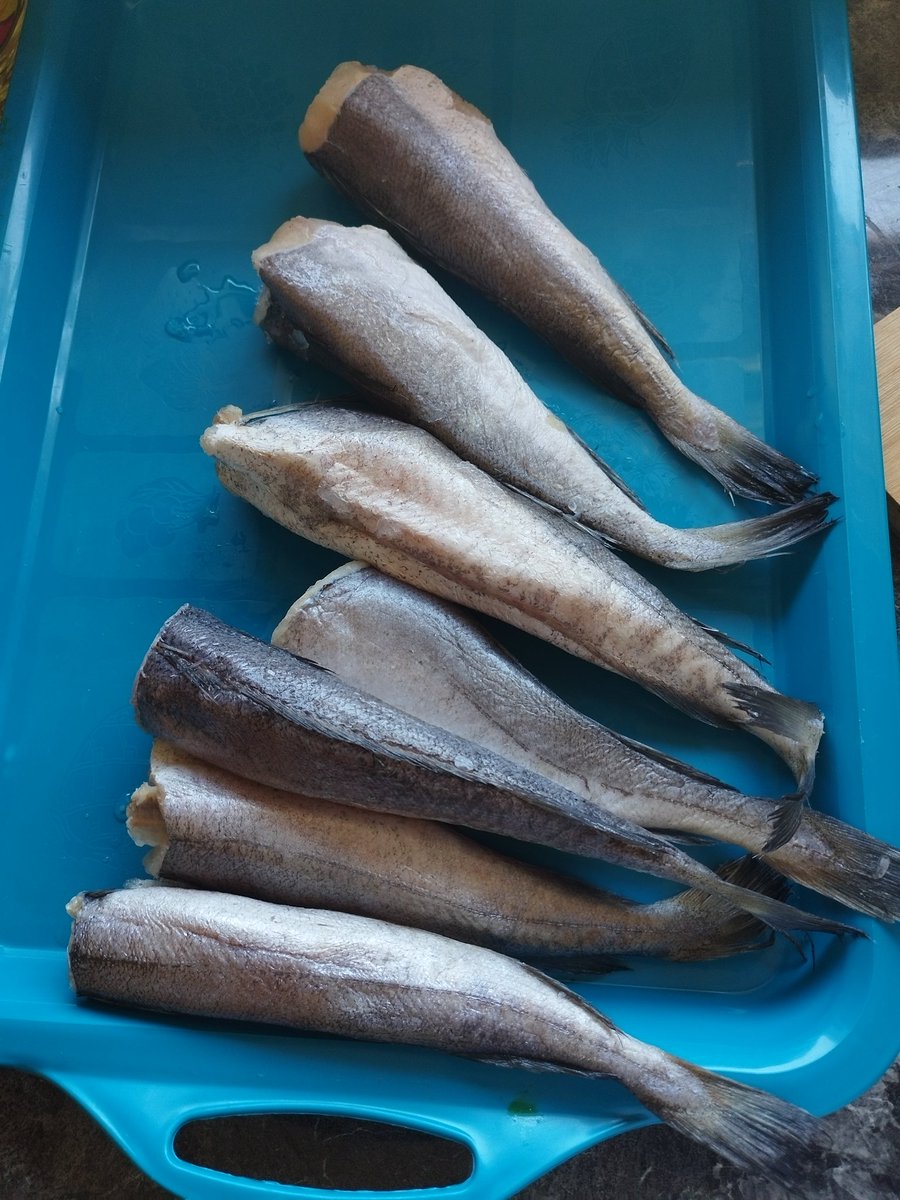GirlMpuse's tweet photo. To tell the truth, fresh vegetables from the soil straight to the pot hits harder than the ones from the grocery stores. 🤞🏿🤞🏿🤞🏿I only bought baby hake then the rest got them from my vegetable garden.
#FarmLife #InMyOffice https://t.co/TF034391Im