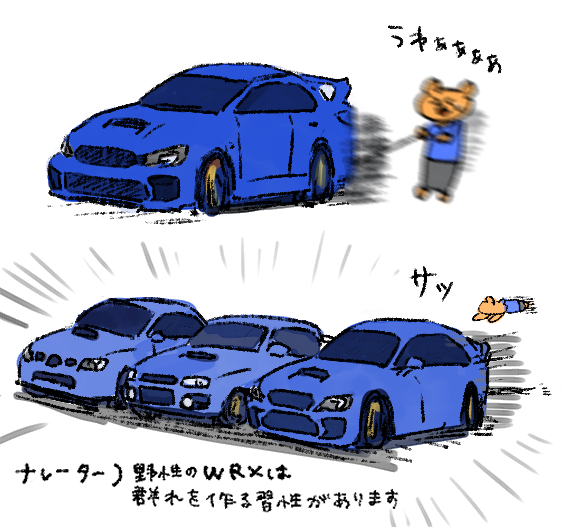 野生の愛車 