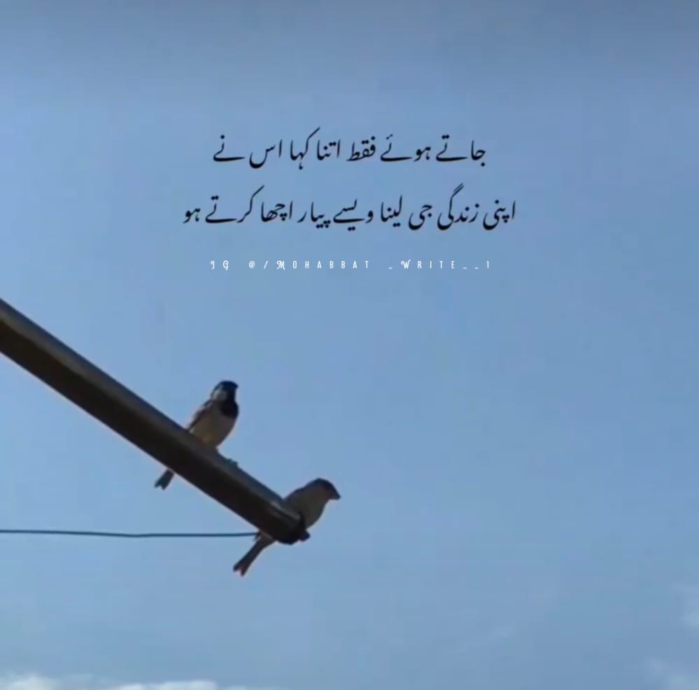 abdullahsaali10's tweet photo. انسٹا غرام ۔ محبت۔رایٹ۔١ https://t.co/CkbIsOQoAN
