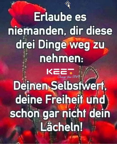 prof_scheld tweet picture
