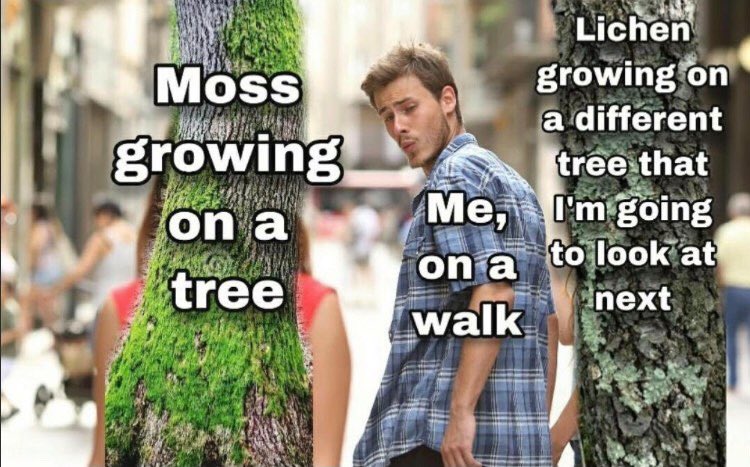 danryan_nature's tweet photo. I feel mortally attacked https://t.co/B8buX3qwKQ