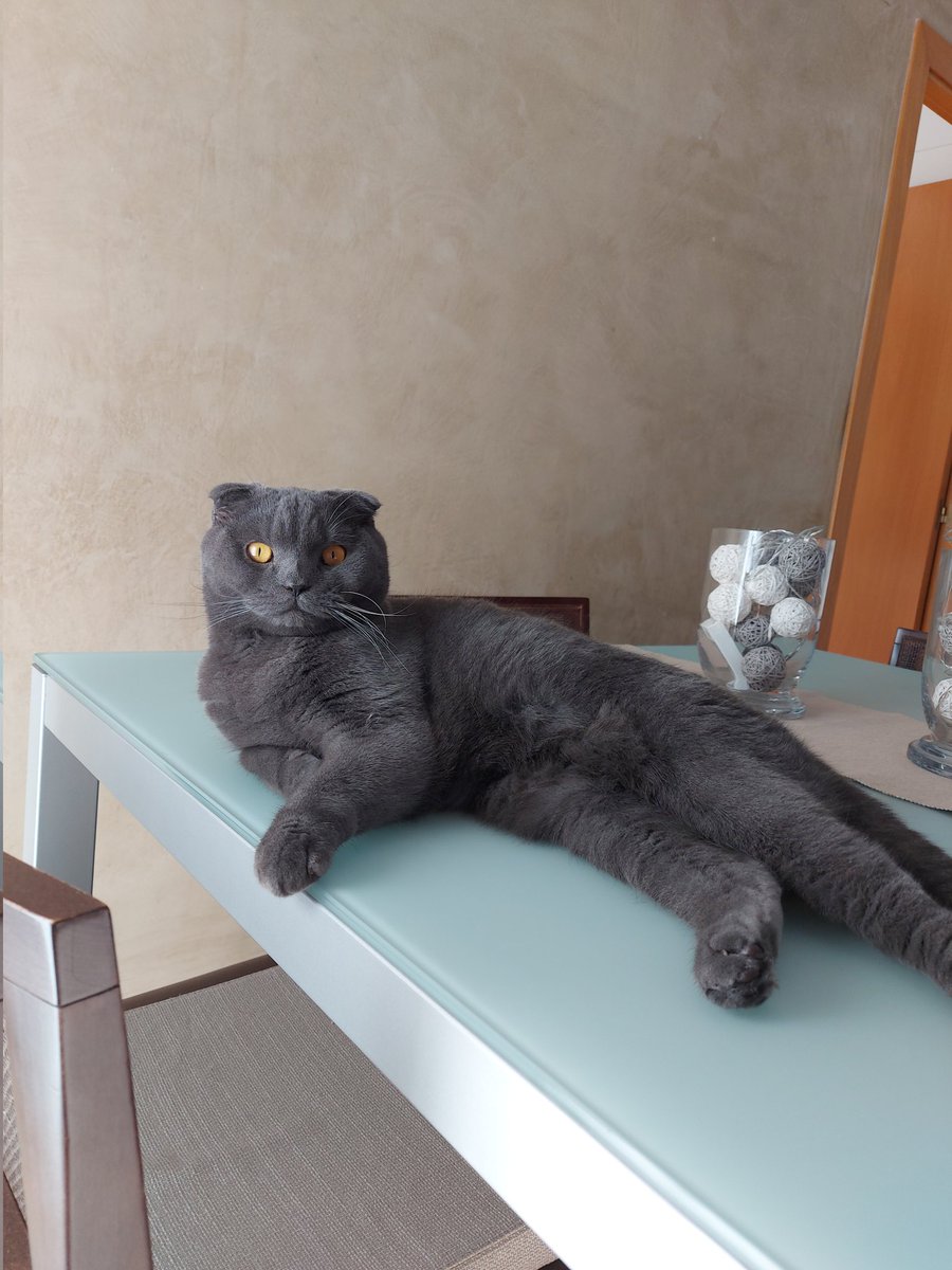 🦇suri🦇 tweet media