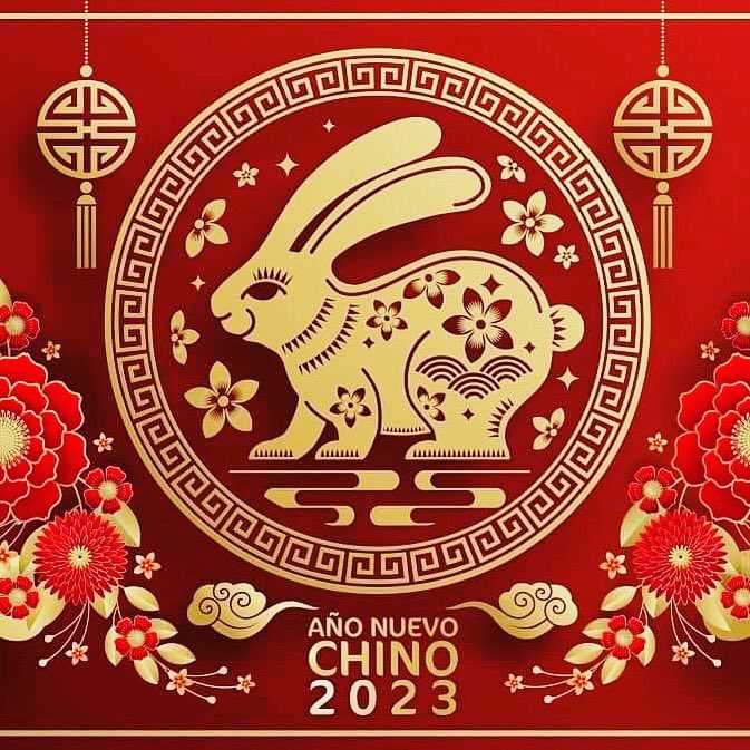 ivonne chitty (@ivonnechitty) on Twitter photo 