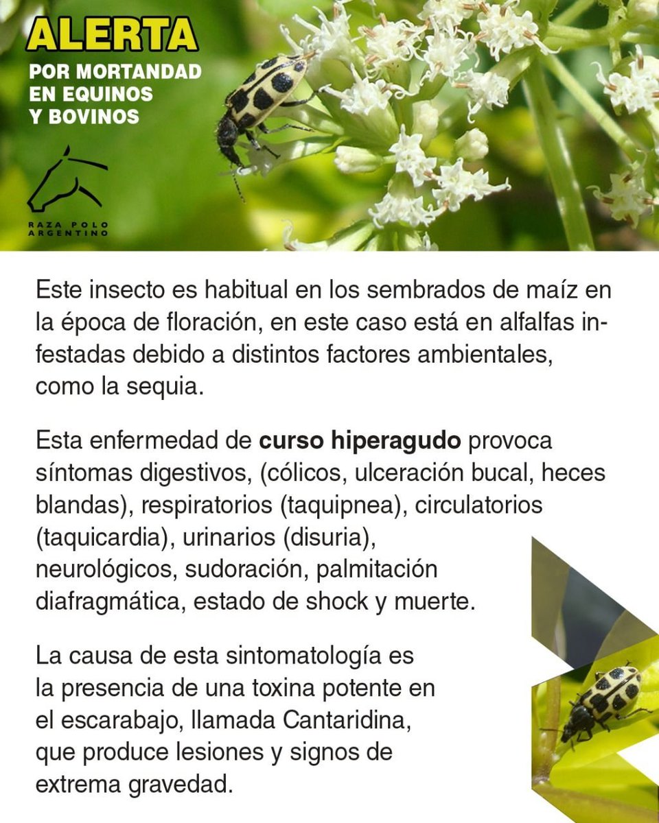 Jime 🌻 tweet media