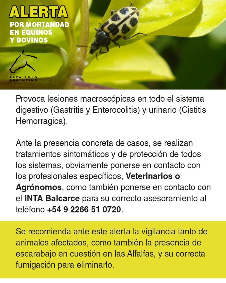 Jime 🌻 tweet media