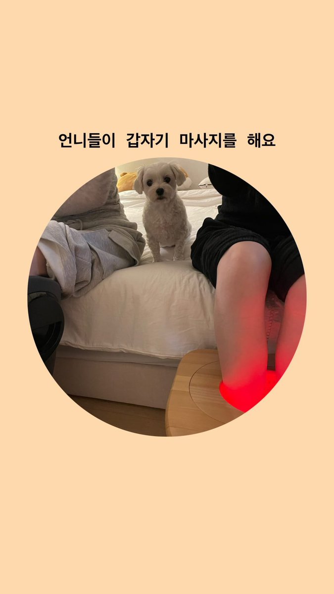 조개구이(족욕기 입니다.) 잘 써주고 있구나🫶🏻
덕후는 좋아서 울어요~ 😭😭😭