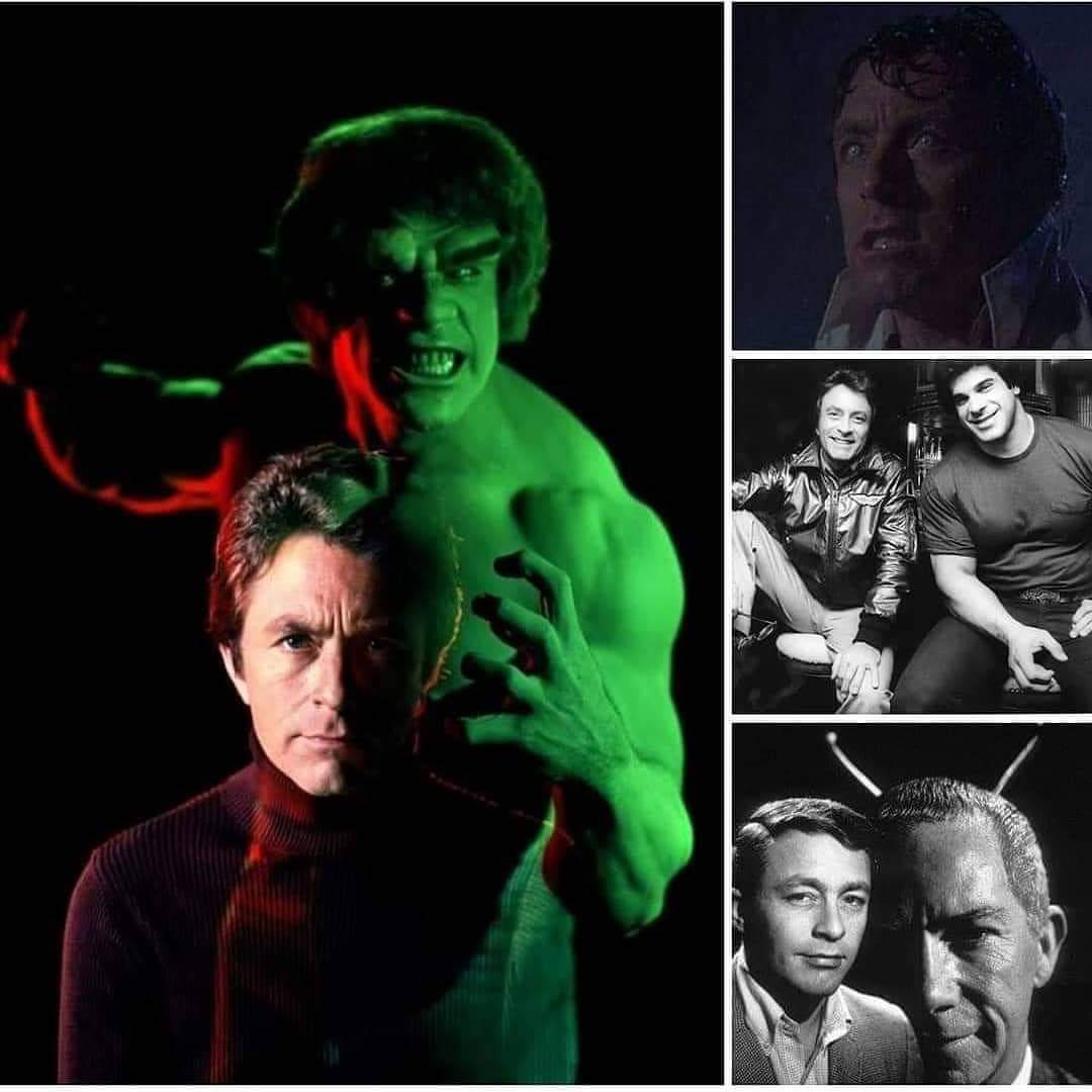 Happy birthday to the late
Bill Bixby.
RIP   