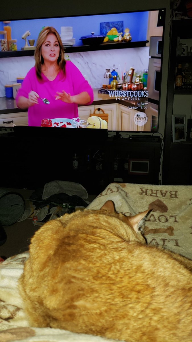 RMASI7777's tweet photo. @Wolfiesmom Sunday morning ritual with my boy Macho. Love watching your shows https://t.co/jMLDWeHAhj