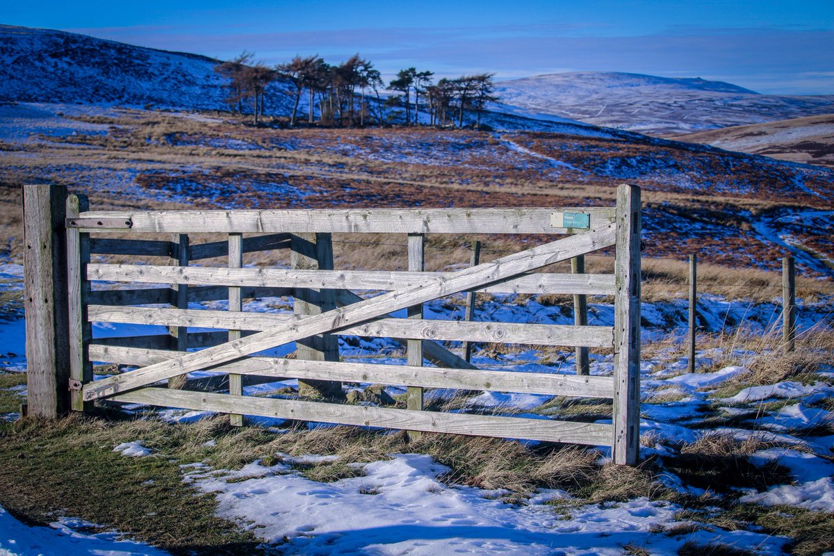 InspiringBlues's tweet photo. Yesterday it was all about the #northumberland national park at #HarthorpeValley #snow capped #Cheviots chilly but stunning! https://t.co/POaEEUZWfg