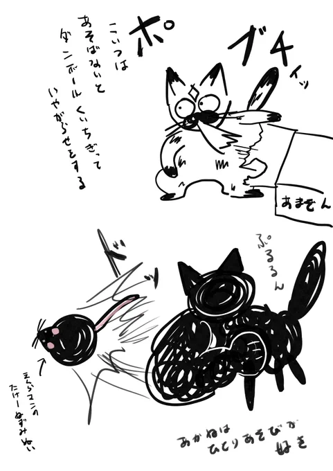 自宅の猫ホーダイ 