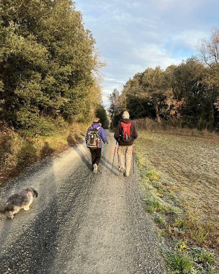 cehbalenya's tweet photo. Preparant la Caminada Popular dels Hostalets de Balenyà. Guardeu-vos el dia 12 de març!
#centreexcursionista
#cehostaletsdebalenya
@AjBalenya https://t.co/aO65PiYqgt